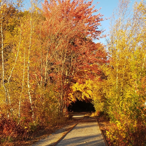 🍂Fall at the feet of Beauty - Picture 5 of 12